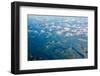Aerial view of the mountains of Southeast Alaska, USA-Mark A Johnson-Framed Photographic Print