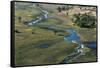 Aerial view of the Okavango Delta, Botswana, Africa-Sergio Pitamitz-Framed Stretched Canvas