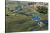 Aerial view of the Okavango Delta, Botswana, Africa-Sergio Pitamitz-Stretched Canvas