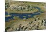 Aerial view of the Okavango Delta, Botswana, Africa-Sergio Pitamitz-Mounted Photographic Print