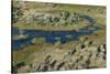 Aerial view of the Okavango Delta, Botswana, Africa-Sergio Pitamitz-Stretched Canvas