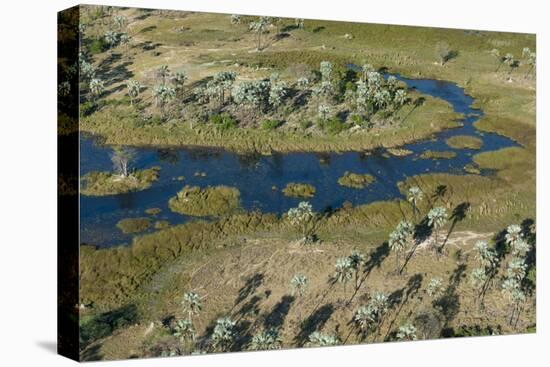 Aerial view of the Okavango Delta, Botswana, Africa-Sergio Pitamitz-Stretched Canvas