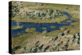 Aerial view of the Okavango Delta, Botswana, Africa-Sergio Pitamitz-Stretched Canvas