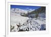 Aerial View of the Snowy Woods and High Peaks, Vamlera, Febbraro Valley, Spluga Valley, Valtellina-Roberto Moiola-Framed Photographic Print