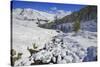 Aerial View of the Snowy Woods and High Peaks, Vamlera, Febbraro Valley, Spluga Valley, Valtellina-Roberto Moiola-Stretched Canvas