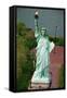 Aerial View of the Statue of Liberty and Grounds Below-null-Framed Stretched Canvas