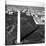 Aerial view of the Washington Monument, Washington, D.C. - Black and White Variant-Carol Highsmith-Stretched Canvas