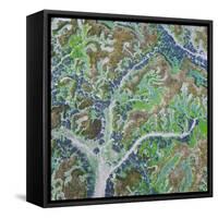 Aerial view of tidal marshland at low tide, Cantabria, Spain-Juan Carlos Munoz-Framed Stretched Canvas