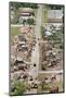 Aerial View of Tornado Damage in Ohio-Ron Kuntz-Mounted Photographic Print