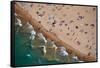 Aerial view of tourists on beach, North Avenue Beach, Chicago, Illinois, USA-null-Framed Stretched Canvas