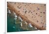 Aerial view of tourists on beach, North Avenue Beach, Chicago, Illinois, USA-null-Framed Photographic Print