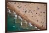 Aerial view of tourists on beach, North Avenue Beach, Chicago, Illinois, USA-null-Framed Photographic Print