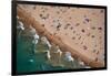 Aerial view of tourists on beach, North Avenue Beach, Chicago, Illinois, USA-null-Framed Photographic Print