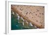 Aerial view of tourists on beach, North Avenue Beach, Chicago, Illinois, USA-null-Framed Photographic Print