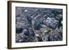 Aerial View of Trafalgar Square, London, England, United Kingdom, Europe-Peter Barritt-Framed Photographic Print