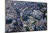 Aerial View of Trafalgar Square, London, England, United Kingdom, Europe-Peter Barritt-Mounted Photographic Print