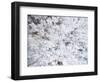 Aerial view of trees covered by snow, Marion Co., Illinois, USA-Panoramic Images-Framed Photographic Print