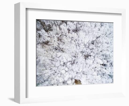 Aerial view of trees covered by snow, Marion Co., Illinois, USA-Panoramic Images-Framed Photographic Print