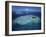 Aerial View of Tropical Island, Tavarua Island, Fiji-Neil Farrin-Framed Photographic Print