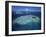 Aerial View of Tropical Island, Tavarua Island, Fiji-Neil Farrin-Framed Photographic Print