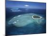 Aerial View of Tropical Island, Tavarua Island, Fiji-Neil Farrin-Mounted Photographic Print