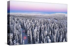 Aerial view of two hikers walking in the snowcapped forest at dawn, Iso-Syote, Lapland-Roberto Moiola-Stretched Canvas