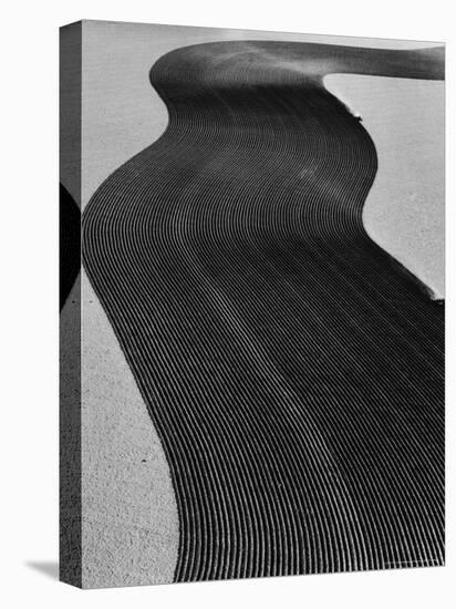 Aerial View of Two Tractors in Field Plowing Furrows in Methods Called "Listing" and "Contouring"-Margaret Bourke-White-Stretched Canvas