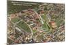 Aerial View of University of Cincinnati, Ohio-null-Mounted Art Print