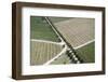 Aerial View of Vineyards Near Hermanus and Walker Bay, Overberg, Western Cape, South Africa, Africa-Louise Murray-Framed Photographic Print