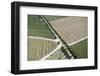 Aerial View of Vineyards Near Hermanus and Walker Bay, Overberg, Western Cape, South Africa, Africa-Louise Murray-Framed Photographic Print