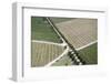 Aerial View of Vineyards Near Hermanus and Walker Bay, Overberg, Western Cape, South Africa, Africa-Louise Murray-Framed Photographic Print