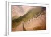 Aerial View of Water Channel in the Sand, Hallig, Germany, April 2009-Novák-Framed Photographic Print