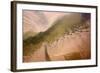 Aerial View of Water Channel in the Sand, Hallig, Germany, April 2009-Novák-Framed Photographic Print