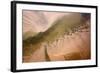 Aerial View of Water Channel in the Sand, Hallig, Germany, April 2009-Novák-Framed Photographic Print