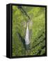 Aerial View of Waterfall in Waimea Canyon-Terry Eggers-Framed Stretched Canvas