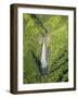 Aerial View of Waterfall in Waimea Canyon-Terry Eggers-Framed Photographic Print