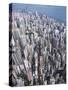 Aerial View of Western District of Hong Kong-Yang Liu-Stretched Canvas