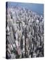 Aerial View of Western District of Hong Kong-Yang Liu-Stretched Canvas
