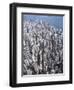 Aerial View of Western District of Hong Kong-Yang Liu-Framed Premium Photographic Print