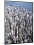 Aerial View of Western District of Hong Kong-Yang Liu-Mounted Premium Photographic Print