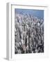 Aerial View of Western District of Hong Kong-Yang Liu-Framed Photographic Print