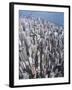 Aerial View of Western District of Hong Kong-Yang Liu-Framed Photographic Print