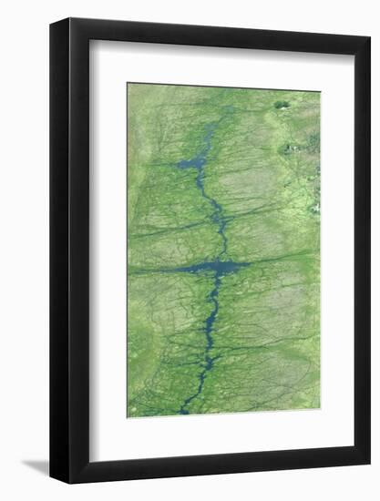 Aerial view of wetland habitat, Okavango Delta, Botswana-Jean Hosking-Framed Photographic Print