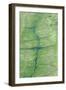 Aerial view of wetland habitat, Okavango Delta, Botswana-Jean Hosking-Framed Photographic Print