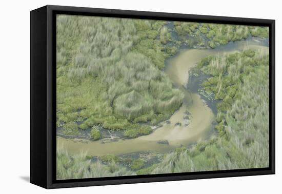 Aerial view of wetland habitat with channel, Kwando, Linyanti, Botswana-Shem Compion-Framed Stretched Canvas