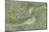 Aerial view of wetland habitat with channel, Kwando, Linyanti, Botswana-Shem Compion-Mounted Photographic Print