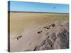 Aerial View of Wildebeest, Khama Rhino Reserve-Paul Souders-Stretched Canvas