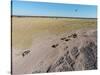 Aerial View of Wildebeest, Khama Rhino Reserve-Paul Souders-Stretched Canvas