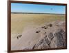 Aerial View of Wildebeest, Khama Rhino Reserve-Paul Souders-Framed Photographic Print