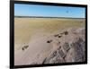 Aerial View of Wildebeest, Khama Rhino Reserve-Paul Souders-Framed Photographic Print